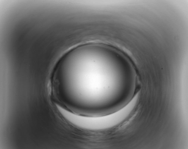 X0000088721509200706071609