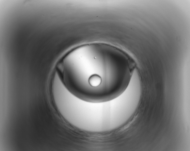 X0000088721510200706071609