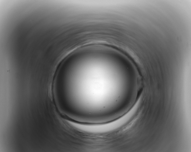X0000088721513200706071609