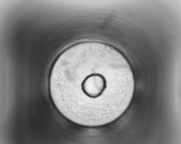 X0000088721514200706071609