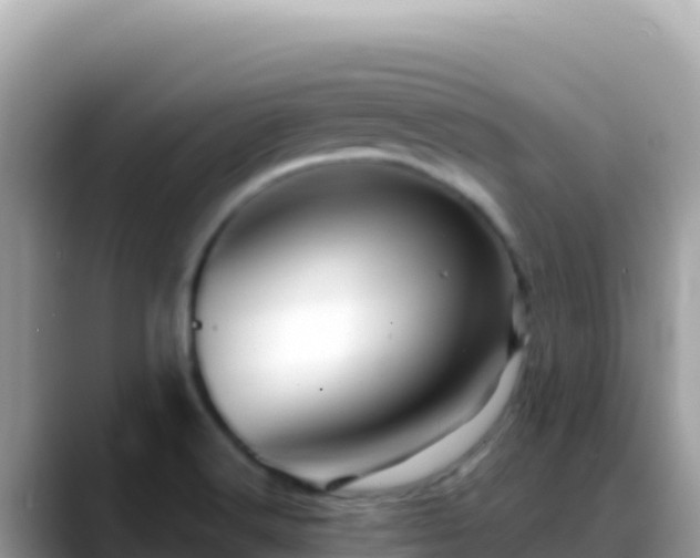 X0000088721516200706071609