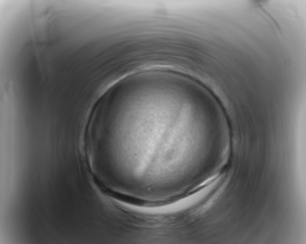X0000088721521200706071609