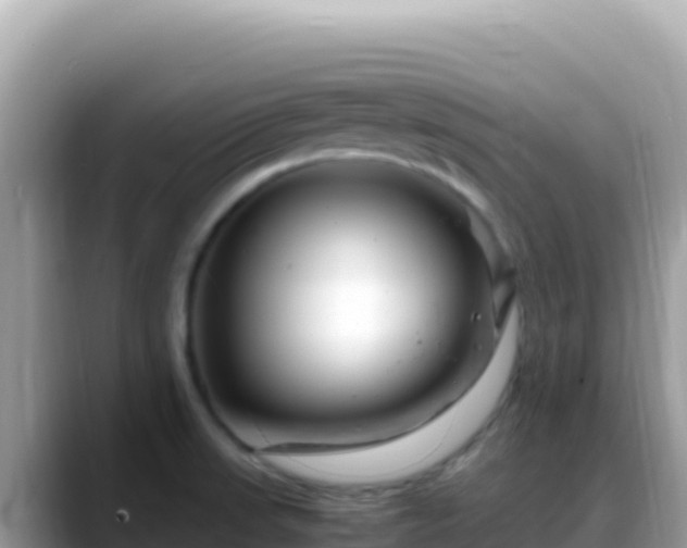 X0000088721523200706071609