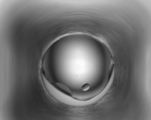 X0000088721524200706071609