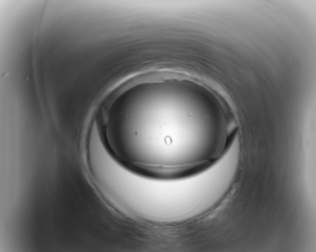 X0000088721525200706071609