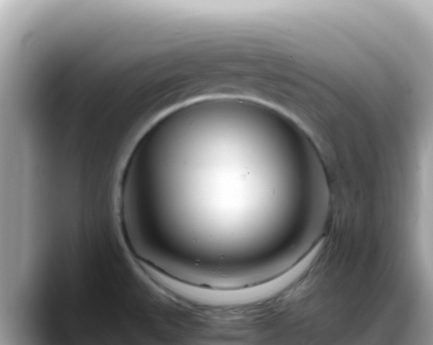 X0000088721527200706071609