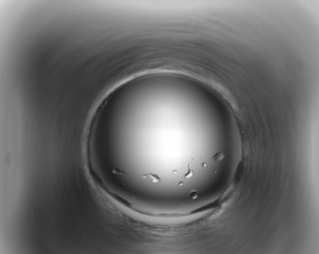 X0000088721530200706071610