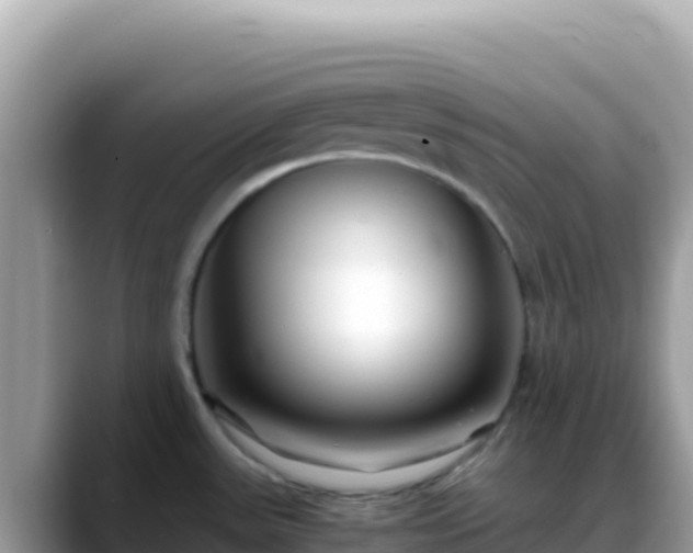 X0000088721531200706071610