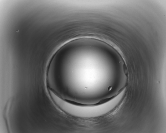 X0000088721533200706071610