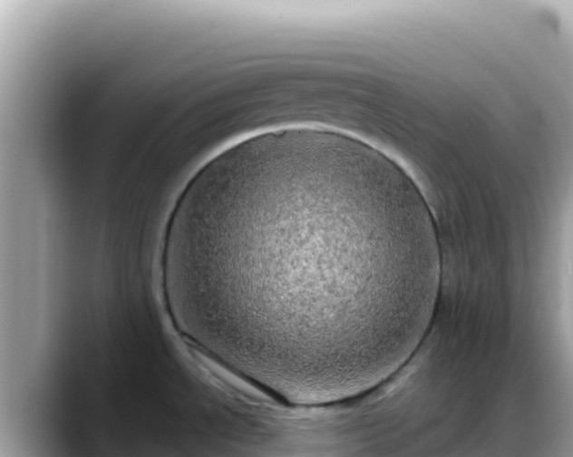 X0000088721534200706071610