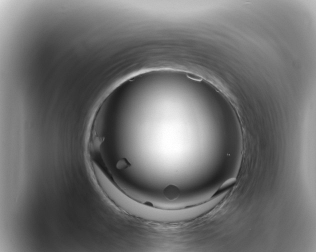 X0000088721536200706071610