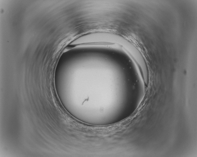 X0000088720001200706141625