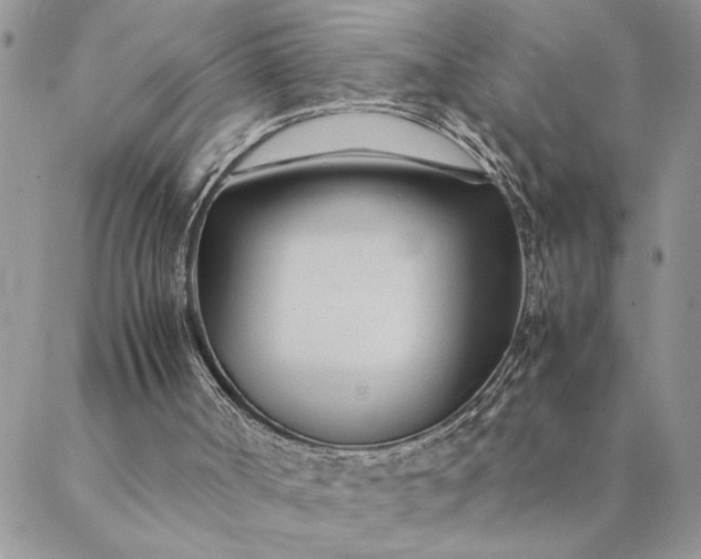 X0000088720002200706141625