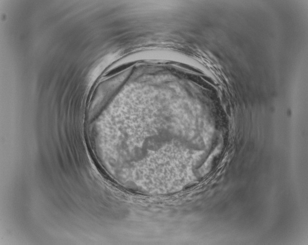 X0000088720003200706141625