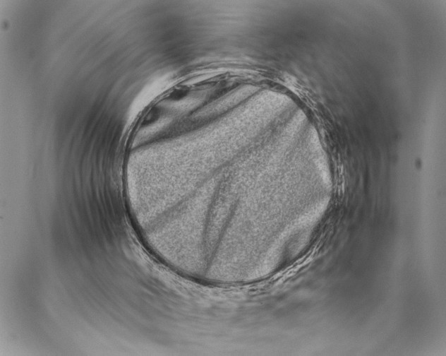 X0000088720004200706141625