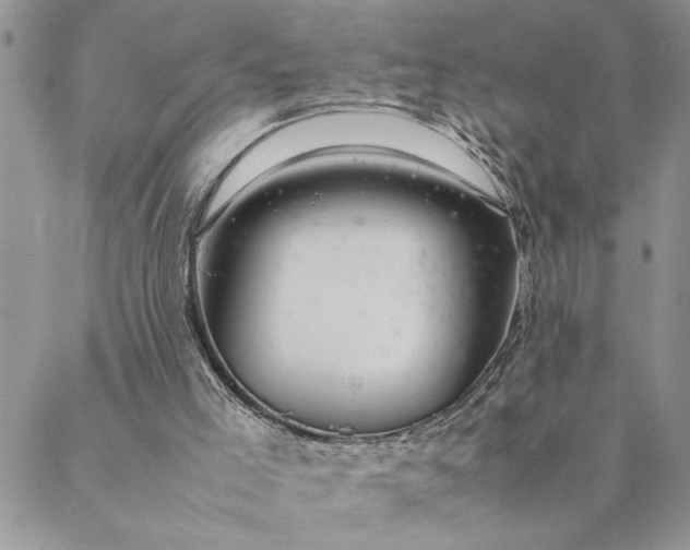 X0000088720005200706141625