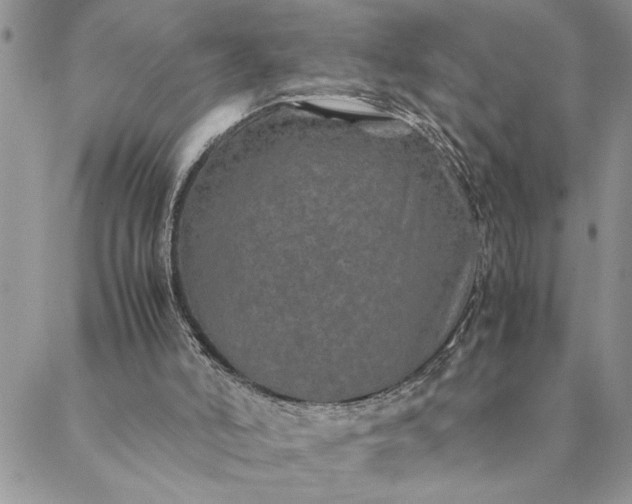 X0000088720006200706141625