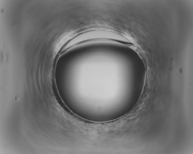 X0000088720007200706141625