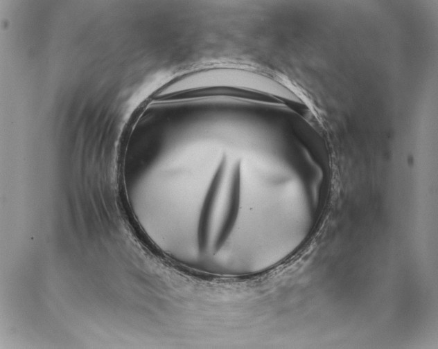 X0000088720008200706141625