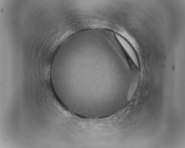 X0000088720009200706141624