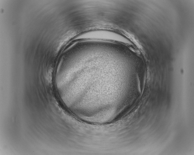 X0000088720010200706141624