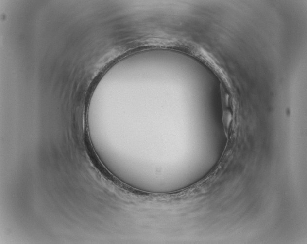 X0000088720011200706141624