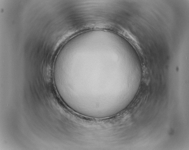 X0000088720012200706141624