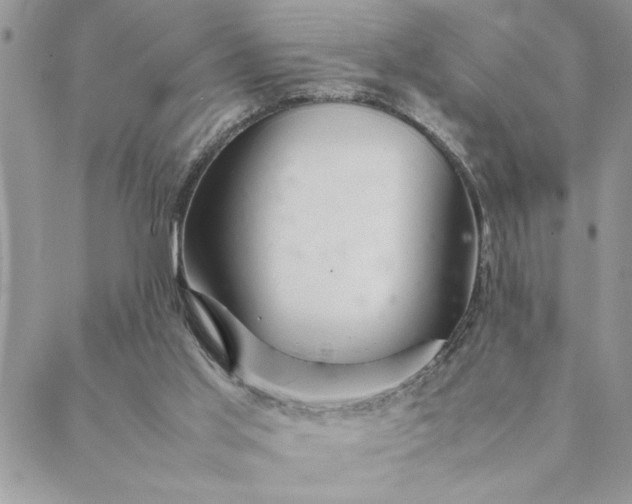 X0000088720013200706141624