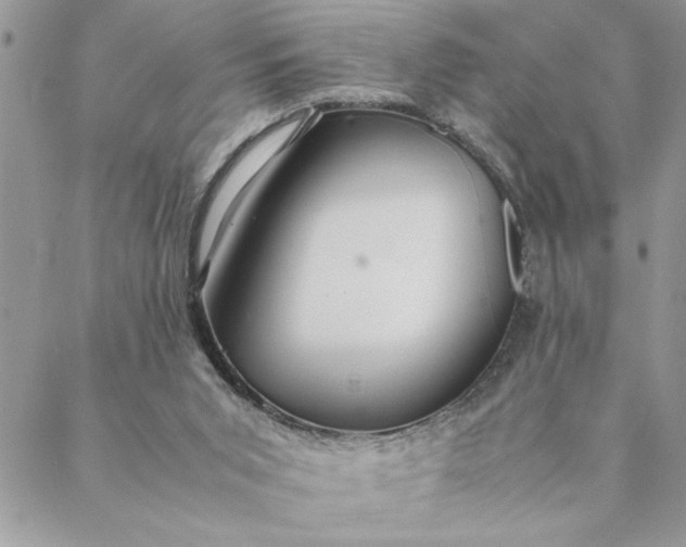 X0000088720015200706141624