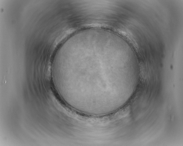 X0000088720016200706141624