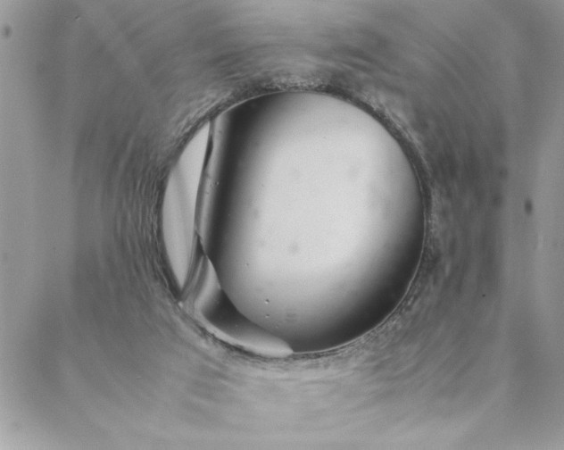 X0000088720017200706141624