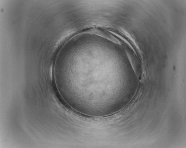 X0000088720019200706141624