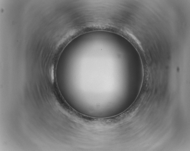 X0000088720020200706141624