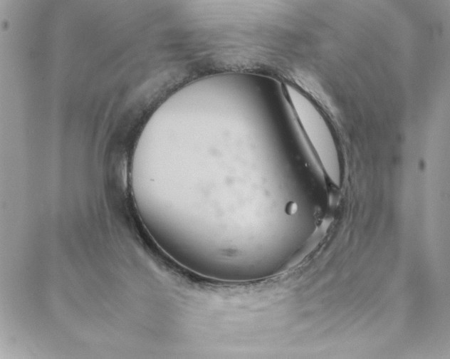 X0000088720021200706141624