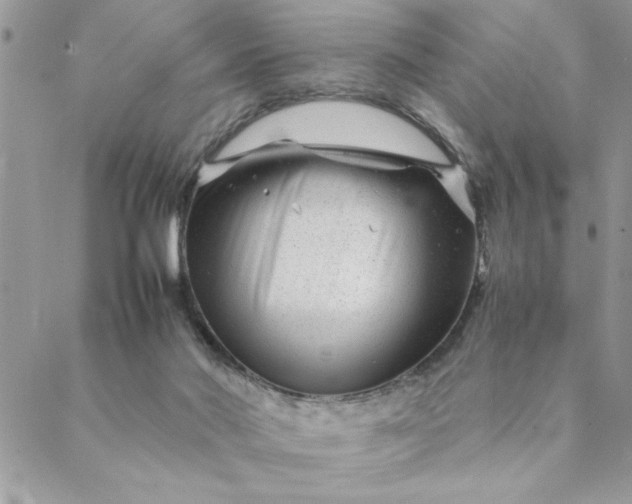 X0000088720022200706141624