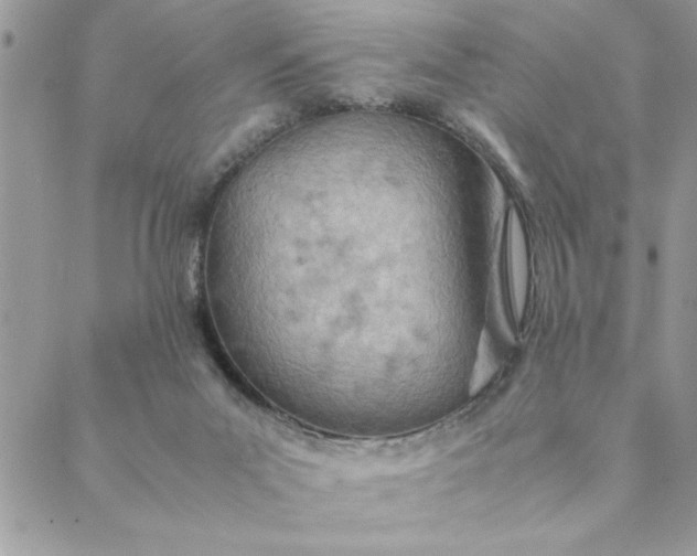 X0000088720023200706141624