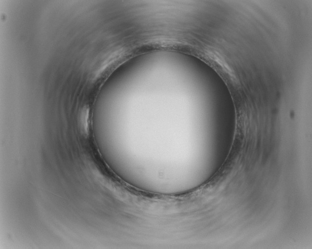 X0000088720024200706141624