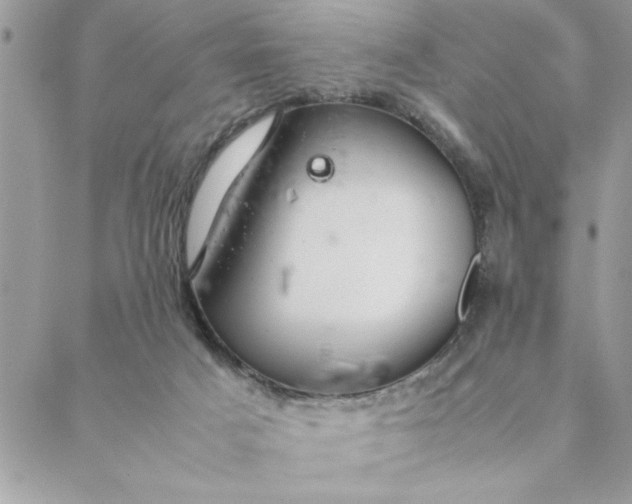 X0000088720025200706141624