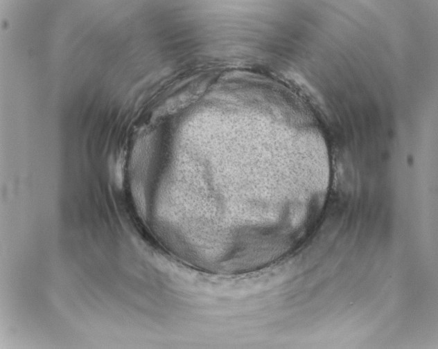 X0000088720026200706141624