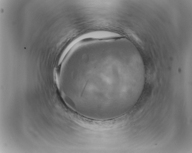 X0000088720027200706141624