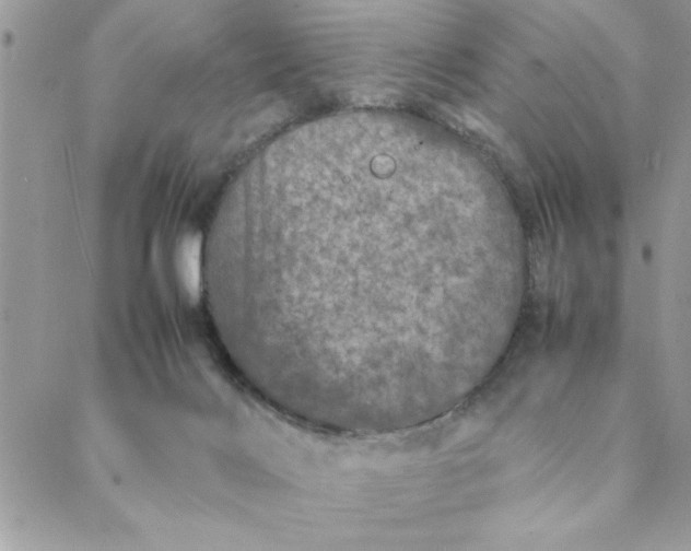 X0000088720028200706141624