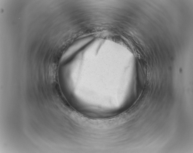 X0000088720030200706141624