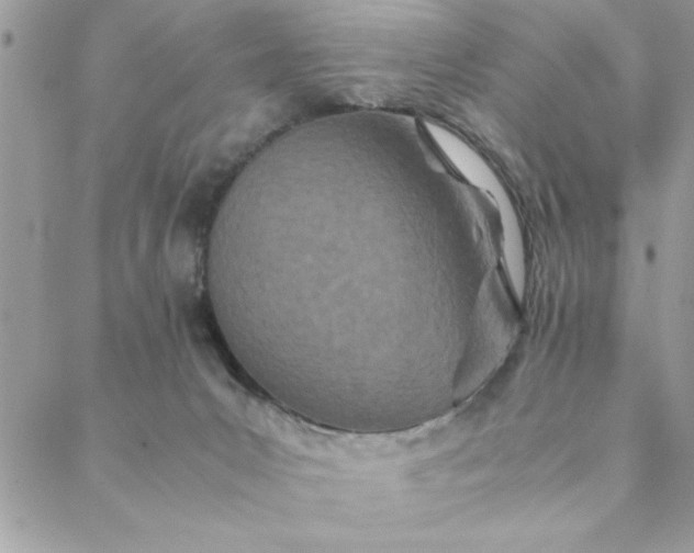 X0000088720031200706141624