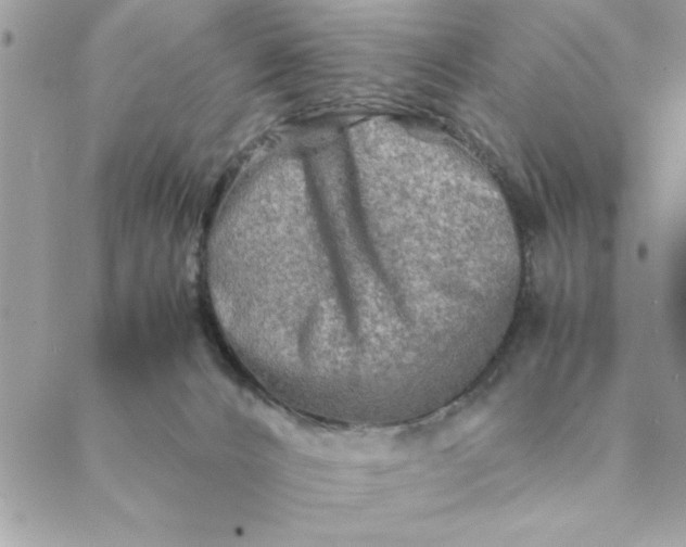 X0000088720032200706141624