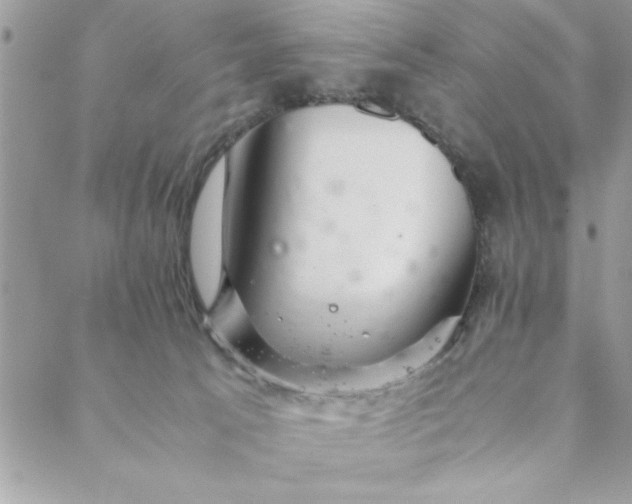 X0000088720033200706141624