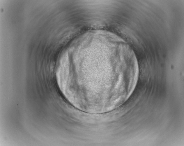 X0000088720034200706141624