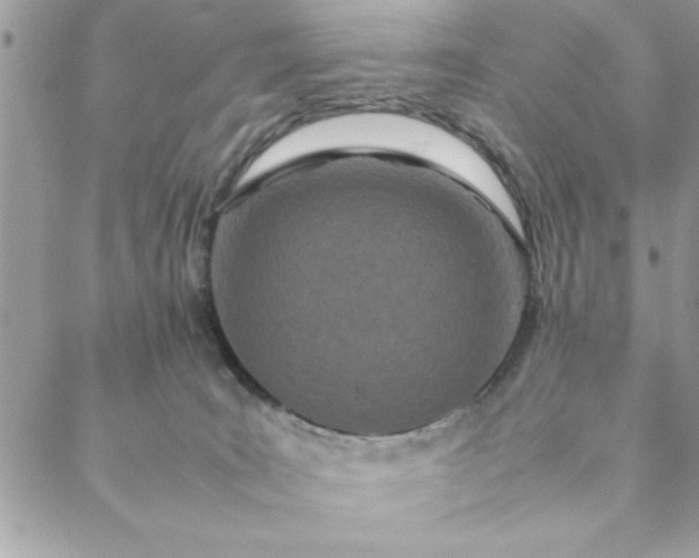 X0000088720035200706141624