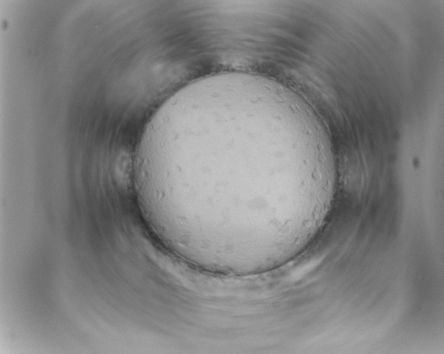 X0000088720036200706141624