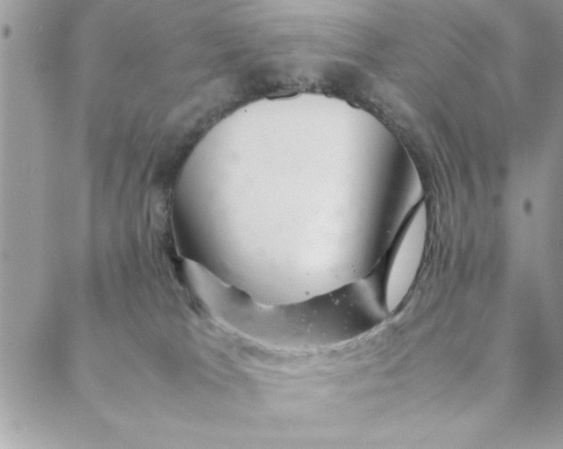 X0000088720037200706141624