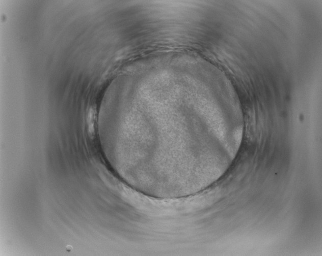 X0000088720038200706141624